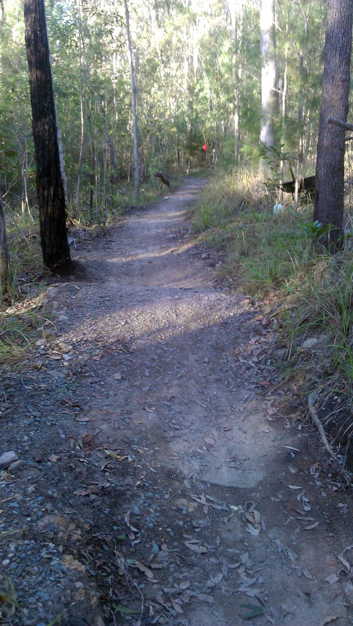 Trail Fix 2